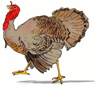 Catch The Turkey Game